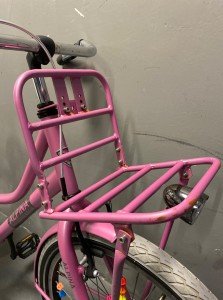 Alpina Cargo Meisjes Rose 33cm 2020