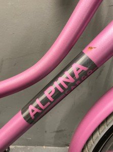 Alpina Cargo Meisjes Rose 33cm 2020