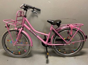 Alpina Cargo Meisjes Rose 33cm 2020