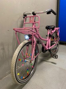 Alpina Cargo Meisjes Rose 33cm 2020