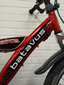 BATAVUS Snake 20 Jongens Rood 30cm 2014