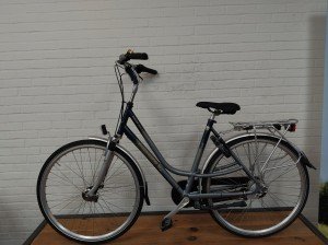 Batavus best break Dames blauw mat 53cm 2010