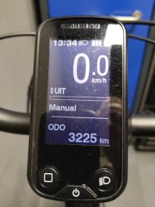 Stella Livorno Dames Goud 49cm 2020