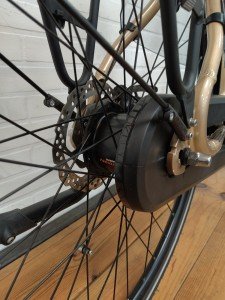 Stella Livorno Dames Grijs 53cm 2022