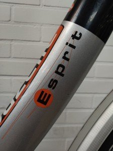 Gazelle Esprit Dames Blauw 55cm 2010