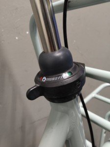 Batavus CNTCD Dames Blauw 49cm 2022