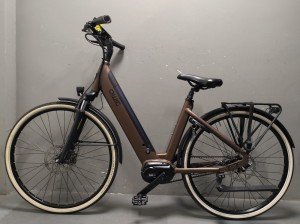 Qwic Premium I I-mn7 Dames Belt Walnut Brown 49cm 2021