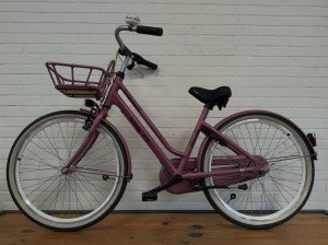 ALPINA Mood Meisjes Dark Mauve Matt 40cm 2021