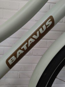 Batavus Packd-3 Dames Groen 49cm 2024