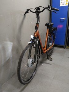 Sparta A-Lane Dames Cognac 61cm 2022