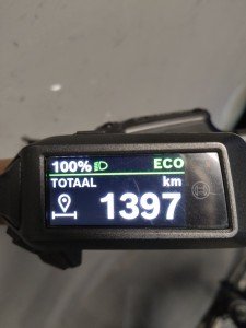 BATAVUS Altura E-Go Power Lageinstap Lichtgrijs Mat 51cm 2025