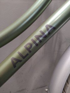 Alpina Cargo Meisjes Groen 31cm 2020