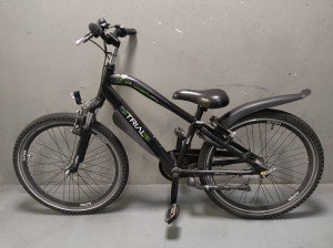 Alpina Trial Jongens Zwart Mat 2019